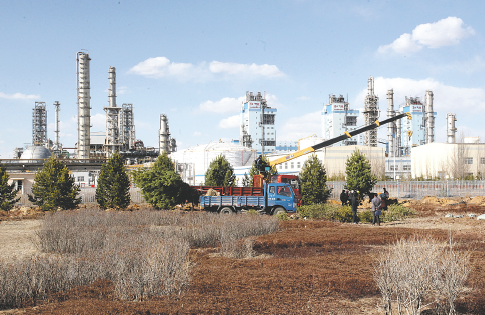 雨燕足球动态赛场